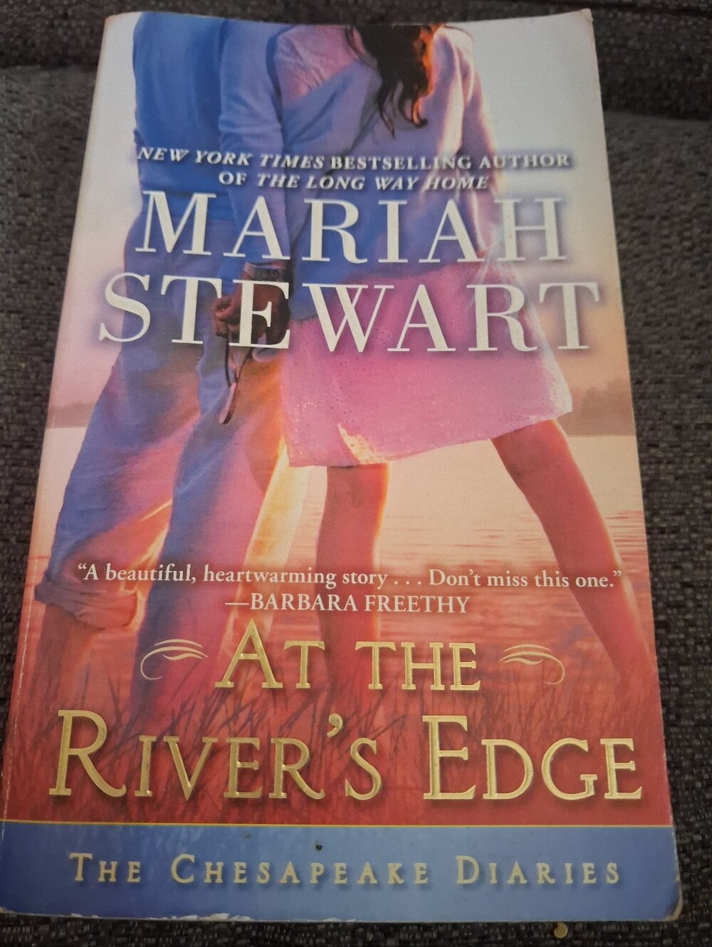 At the River's Edge — Pink & Blue Paperback Novel